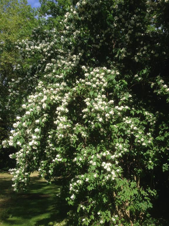 Fewo Ramin Felchow المظهر الخارجي الصورة